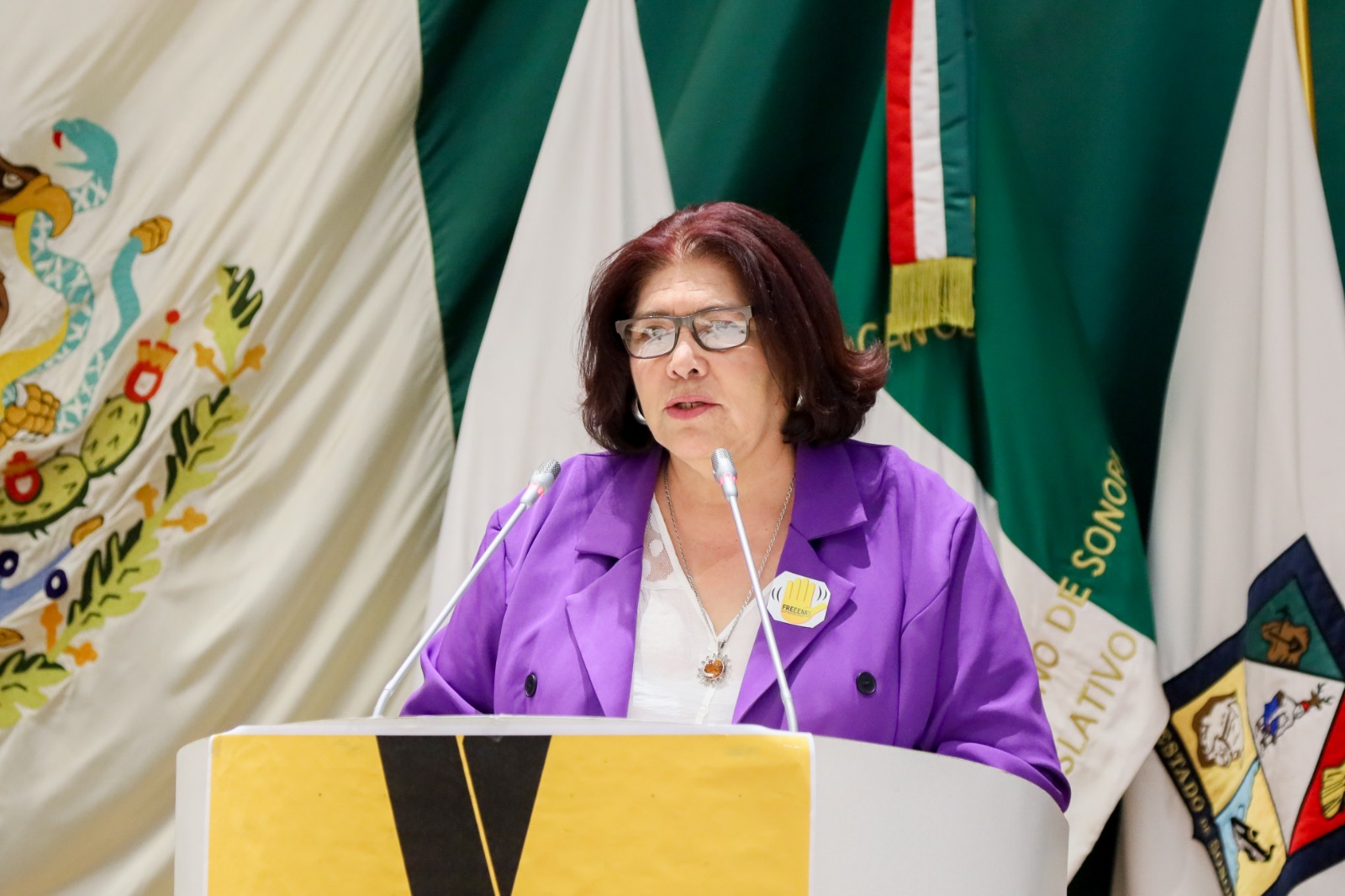 Exhorta diputada Alicia Gaytán se nombren a cronistas municipales de manera oficial.