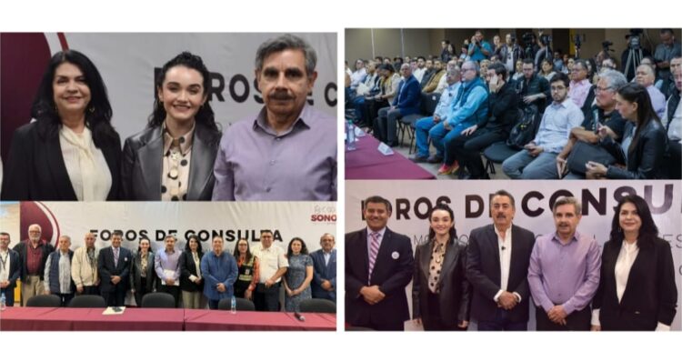Dip: Ernestina Castro, participó en Foro Estatal para fortalecer la Protección Civil en Sonora