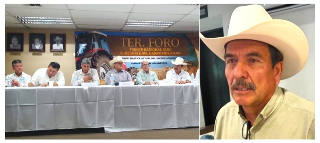 EXIGEN LIBERACIÓN DE BALTAZAR VALDÉZ,&nbsp; PRODUCTORES DEL YAQUI Y MAYO