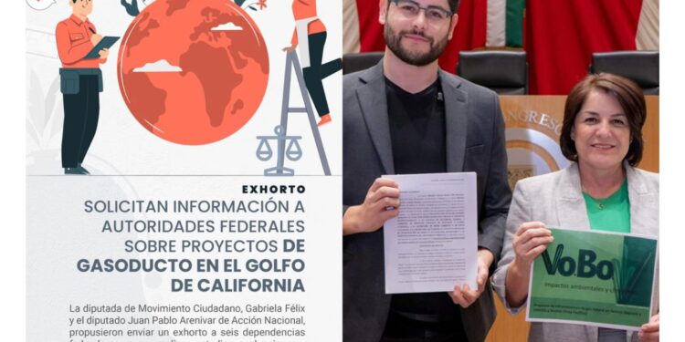 Exhortan desde el Congreso a proteger el Golfo de California ante proyectos de gasoductos