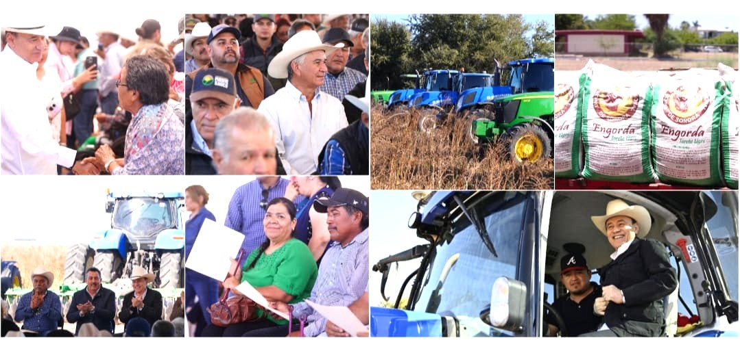 Gobernador Durazo y Presidenta Sheinbaum respaldan al campo sonorense con más de 300 millones en apoyos por sequía