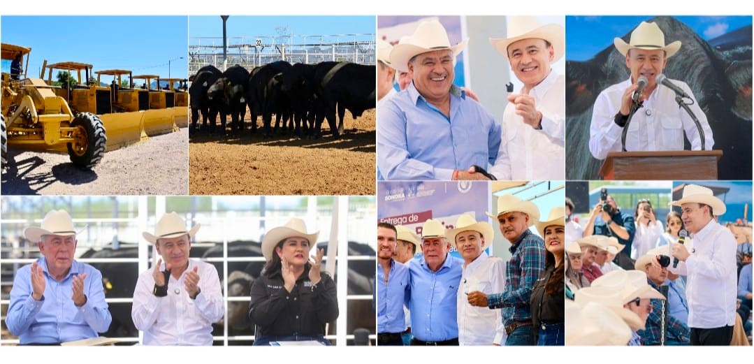 Gobernador Durazo beneficia a pequeños y medianos ganaderos sonorenses con entrega de maquinaria y sementales bovinos