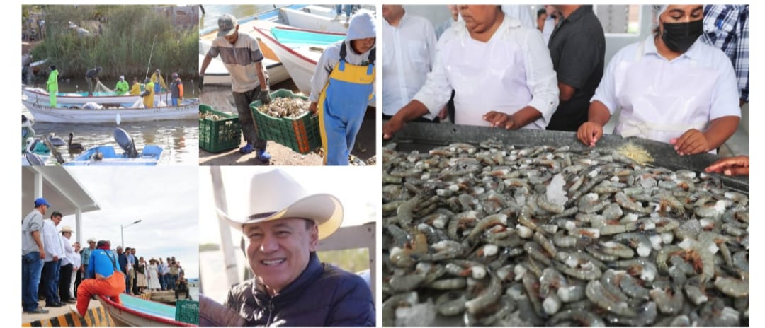 Gobernador Durazo posiciona a Sonora como líder nacional en producción pesquera