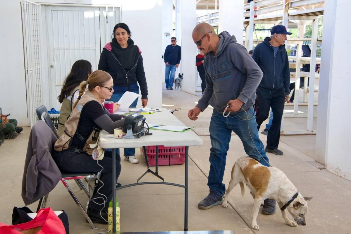 Lleva Gobernador Durazo atenciones veterinarias gratuitas y cirugías de esterilización al norte de Hermosillo