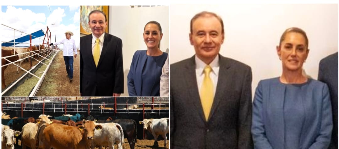 Logra Gobernador Durazo que Sonora sea de los primeros beneficiados con apoyo especial ganadero de Presidenta Sheinbaum