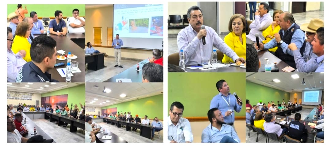 ESTABLECE CONSEJO MUNICIPAL DE PROTECCIÓN CIVIL PLAN DE CONTINGENCIA ANTE LA PRESENCIA DE OLA DE CALOR