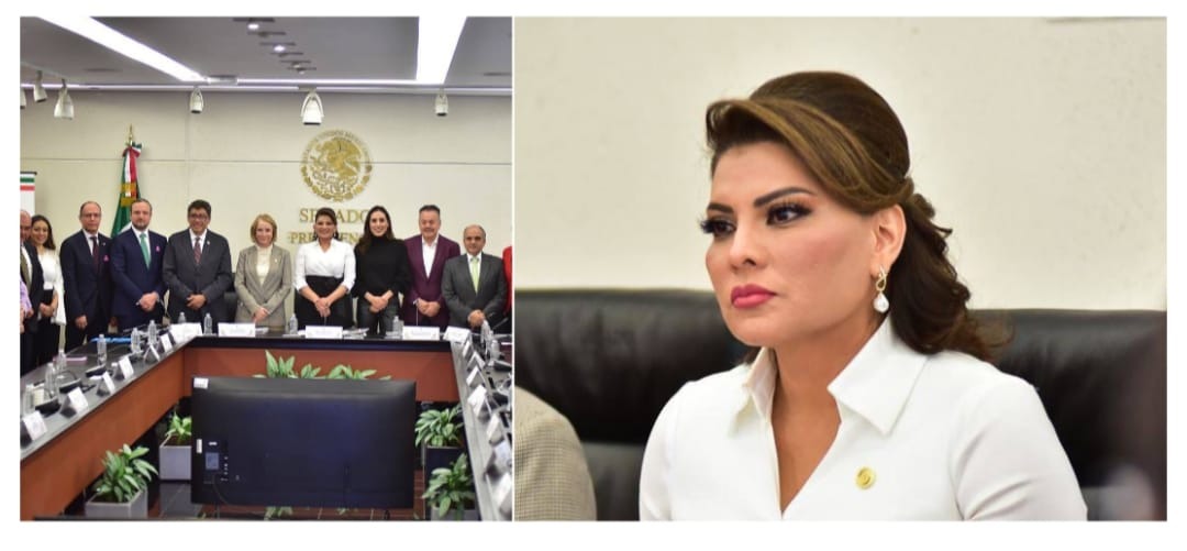 Instala Lorenia Valles Comisión de minería