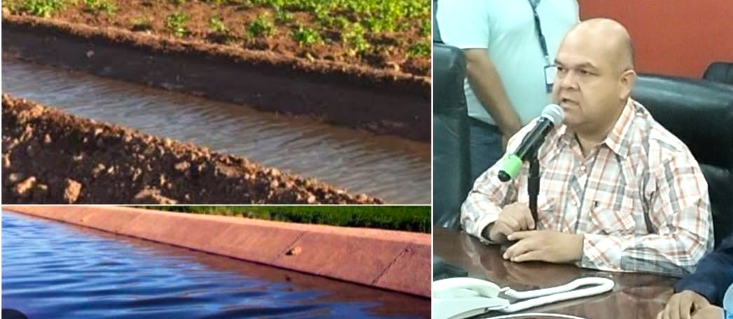 ACUERDAN INCREMENTAR VOLÚMEN  DE AGUA PARA RIEGO DE CULTIVOS EN VALLE DEL YAQUI