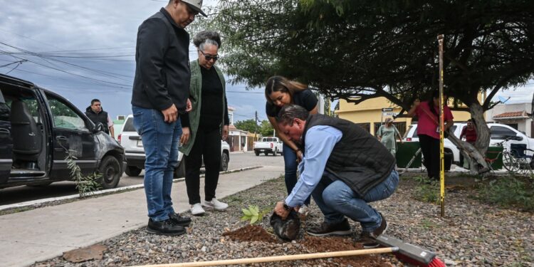 LLEVAN JORNADA DE RECUPERACIÓN DE ESPACIOS AL PARQUE ÁLAMOS