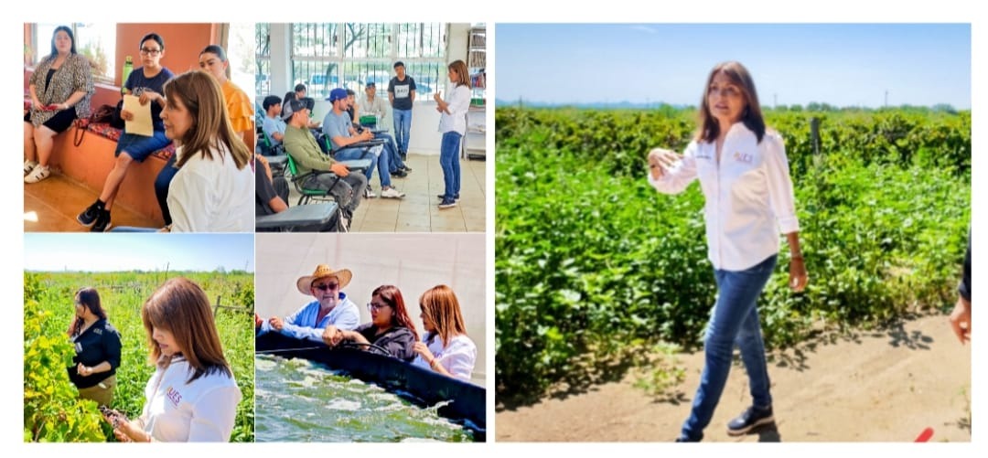 Supervisa Universidad Estatal de Sonora funcionamiento de sus Campos Experimentales