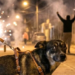 CUIDA  A LAS MASCOTAS DE LA PIROTECNIA EN CELEBRACIONES DE AÑO NUEVO
