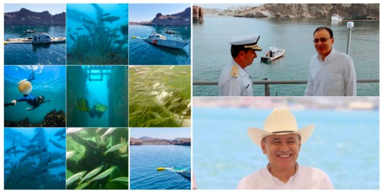 Gobernador Durazo detona turismo sustentable; primer Arrecife Artificial Sonorense registra avance superior al 70%