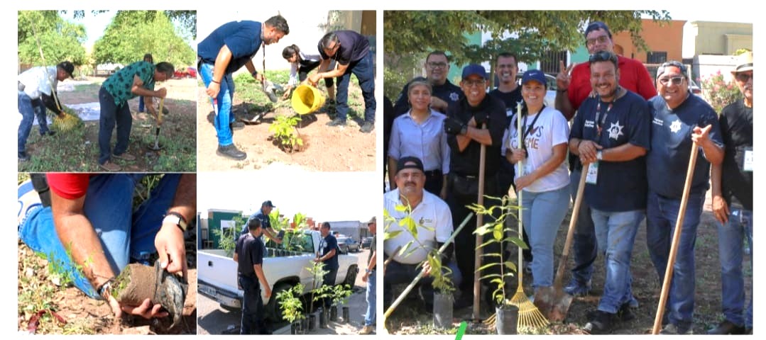 REALIZA PROGRAMAS PREVENTIVOS DE LA SSPM ACCIONES DE REFORESTACIÓN