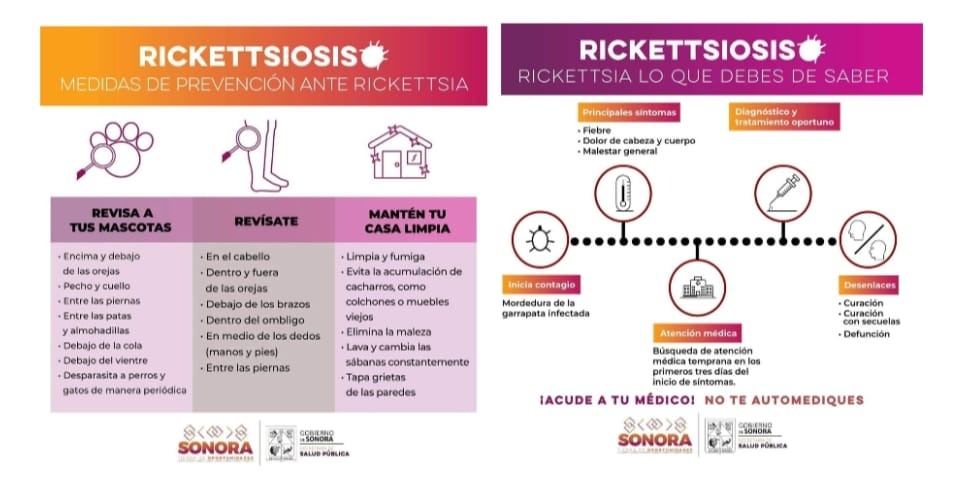 Salud Sonora mantiene resultados positivos en acciones preventivas contra dengue