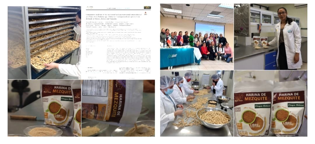 Publica prestigiosa revista internacional investigación de la Universidad Tecnológica de SLRC