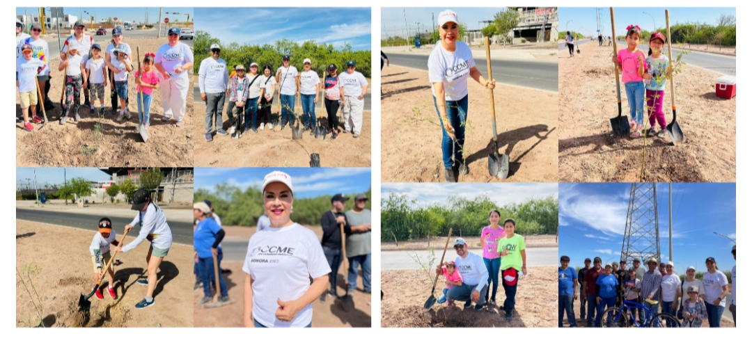 PLANTAN ÁRBOLES EN LA QUINTANA ROO INTEGRANTES DEL CCME SONORA, ECOJOVENES Y CLUB YAQUIS