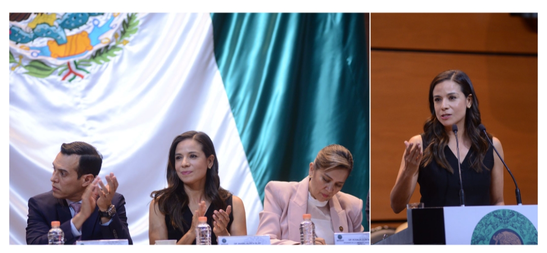 REFORMA EN MATERIA DE IGUALDAD SUSTANTIVA, UN LOGRO PARA LAS MUJERES: ANABEL ACOSTA