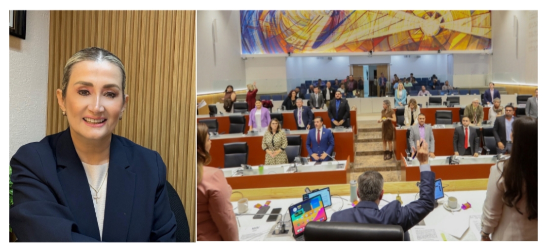 No habrá más ni nuevos impuestos en presupuesto 2025: Ely Sallard