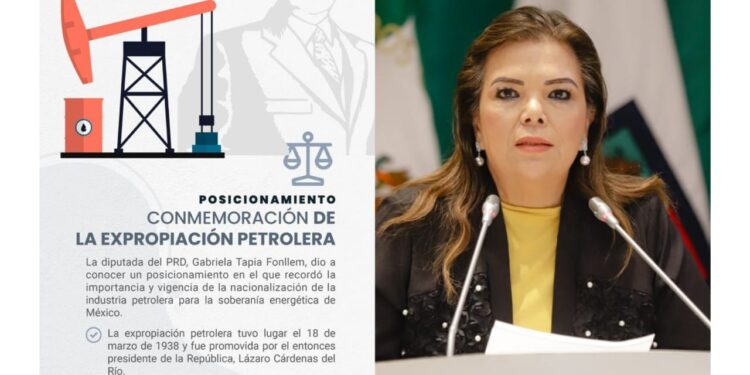 “Defender la soberanía energética es defender la independencia de México”: diputada Ana Gabriela Tapia Fonllem