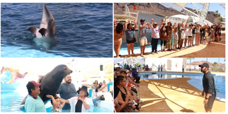 Gobierno de Sonora invita a disfrutar el Delfinario durante Semana Santa