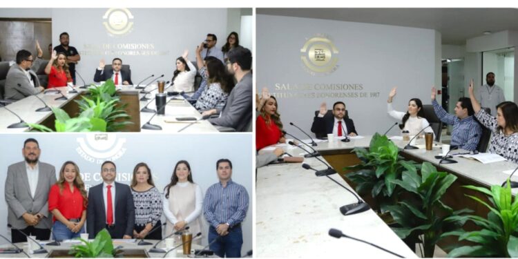 Aprueba comisión del Congreso de Sonora convocatoria para renovar la presidencia de la CEDH