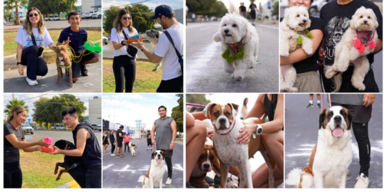 CARRERA DE MASCOTAS LLENA DE ALEGRÍA EL DOMINGUEANDO EN BICI Y +