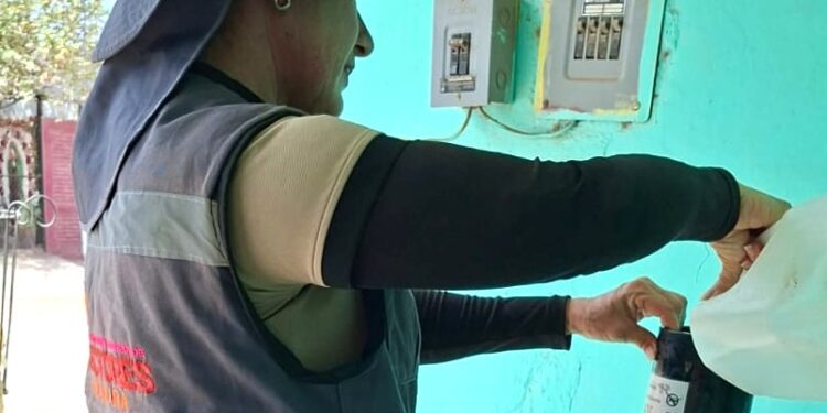 Refuerza Salud Sonora vigilancia del dengue mediante uso de ovitrampas
