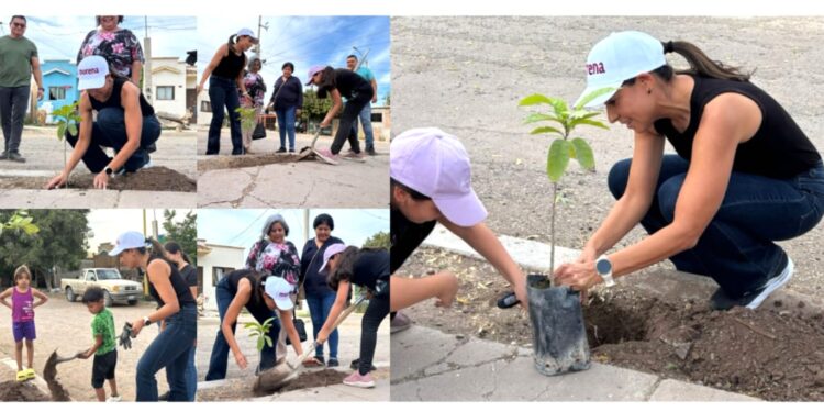 AVANZA PROGRAMA DE REFORESTACIÓN IMPULSADO POR LA DIPUTADA ANABEL ACOSTA
