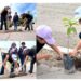 AVANZA PROGRAMA DE REFORESTACIÓN IMPULSADO POR LA DIPUTADA ANABEL ACOSTA