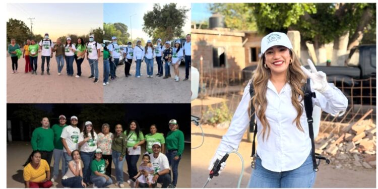 Impulsa diputada Claudia Bours Corral programa de fumigación en el sur de Sonora