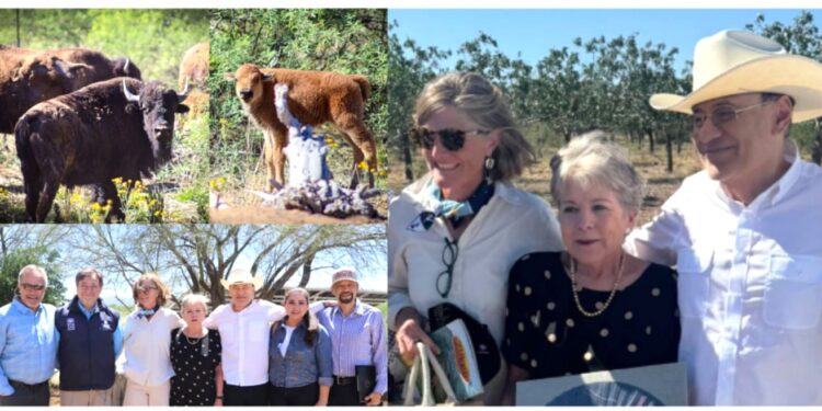 Gobernador Durazo y Gobierno de México fortalecen la conservación del bisonte en Sonora