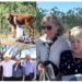 Gobernador Durazo y Gobierno de México fortalecen la conservación del bisonte en Sonora