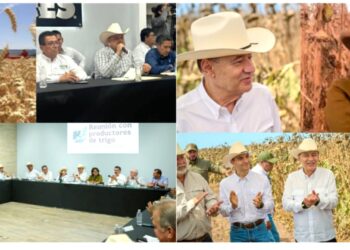 Gobernador Durazo y Sader garantizan apoyo al campo sonorense con estrategia de reconversión de cultivos