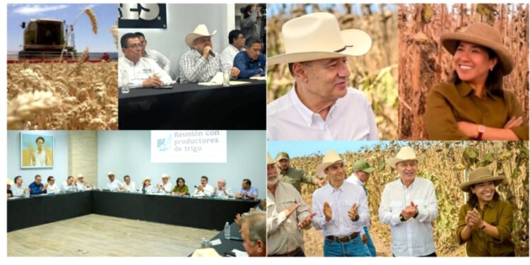 Gobernador Durazo y Sader garantizan apoyo al campo sonorense con estrategia de reconversión de cultivos
