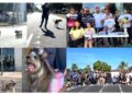 TODO UN ÉXITO LA CARRERA DE MASCOTAS EN CAJEME