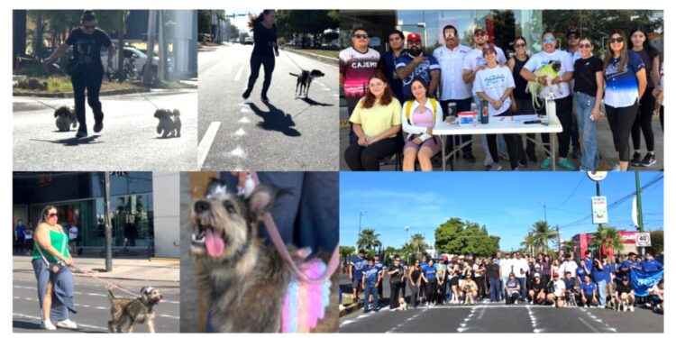TODO UN ÉXITO LA CARRERA DE MASCOTAS EN CAJEME