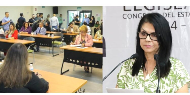 Respalda bancada de MORENA reforma para sancionar intervención extranjera en elecciones: diputada Ernestina Castro Valenzuela