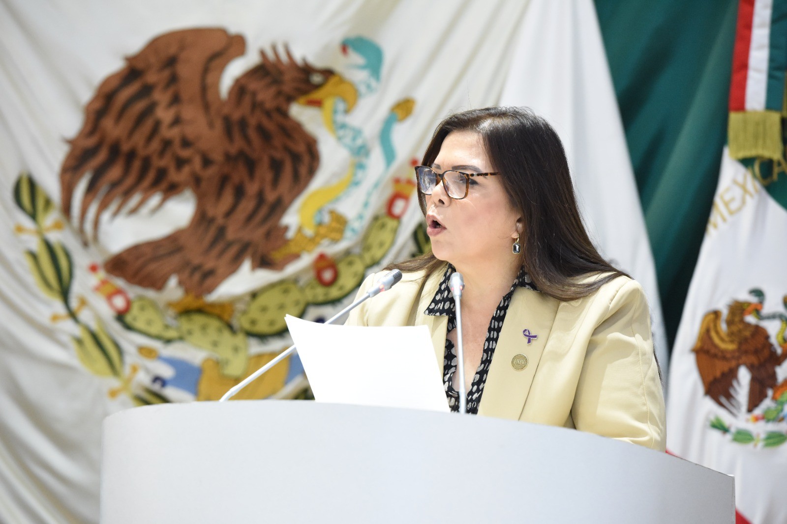 La diputada Gabriela Tapia Fonllem expresa su apoyo a la lucha del magisterio contra las reformas a la Ley del ISSSTE