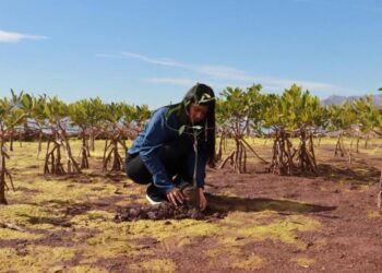 Gobierno de Sonora celebra foro en el marco del Día Mundial de los Humedales