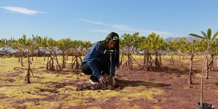 Gobierno de Sonora celebra foro en el marco del Día Mundial de los Humedales