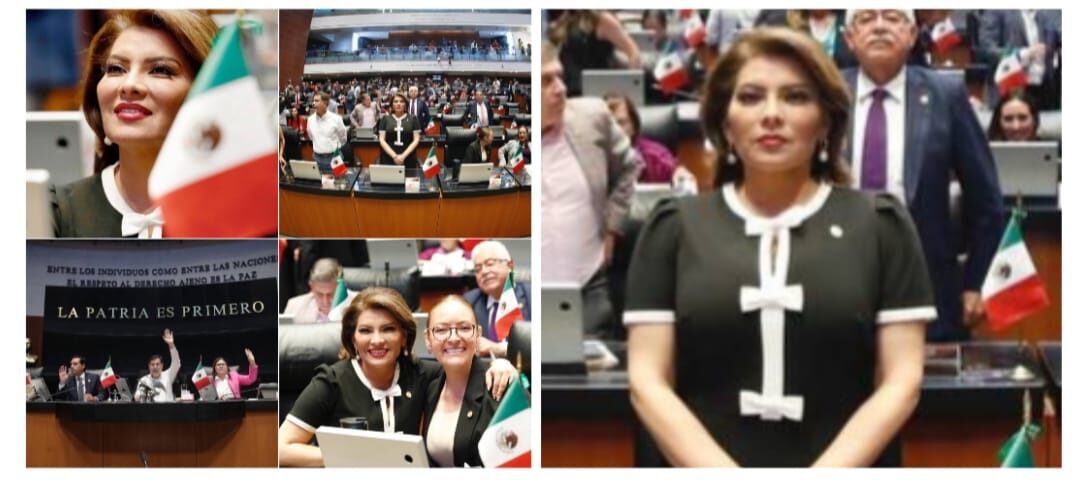 Presidirá la senadora Lorenia Valles Comisión de Minería