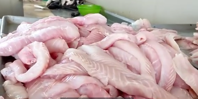 Pescaderías de Obregón esperan repunte en ventas
