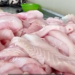 Pescaderías de Obregón esperan repunte en ventas