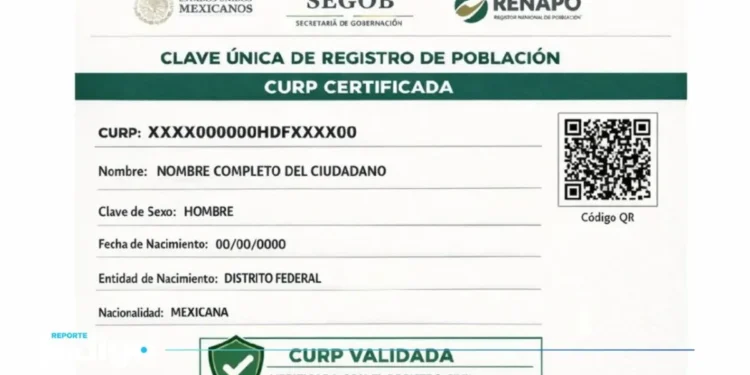 No Podrán Tener Línea de Celular en 2026, si la CURP No tiene estos datos