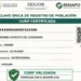 No Podrán Tener Línea de Celular en 2026, si la CURP No tiene estos datos