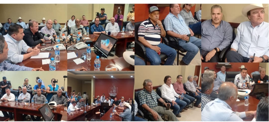 PRODUCTORES DEL VALLE DEL YAQUI Y MAYO, DEMANDAN PRECIOS JUSTOS PARA TRIGO Y MAIZ