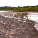Grupo México,  resarcirá  afectaciones en Río Sonora