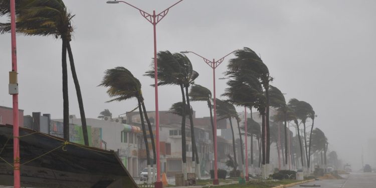 MÉXICO ESPERA LA ENTRADA ESTE JUEVES DE LA QUINTA TORMENTA INVERNAL DE 2023-2024