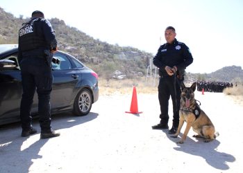 Recibe Policía Estatal certificación especializada para la unidad K-9
