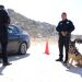 Recibe Policía Estatal certificación especializada para la unidad K-9